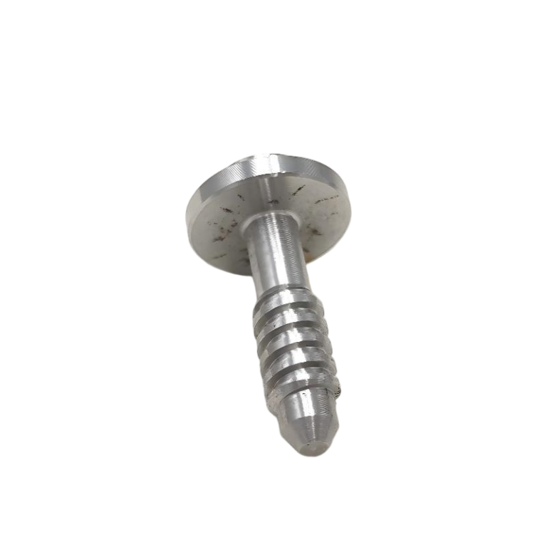 Stainless steel screws